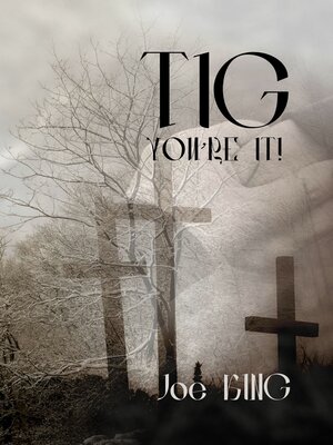 cover image of Tig, you're it!